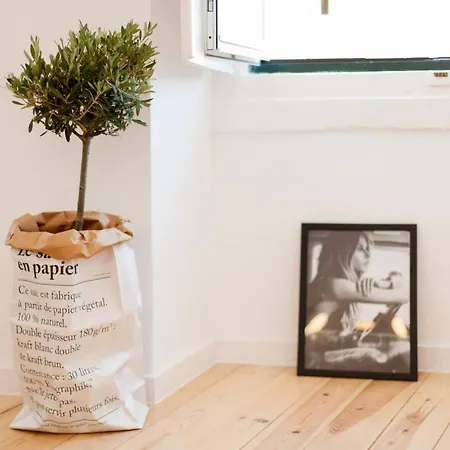 My Lx Flat Castle Alfama Lägenhet Lisboa